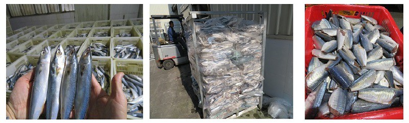 4 raw material.jpg